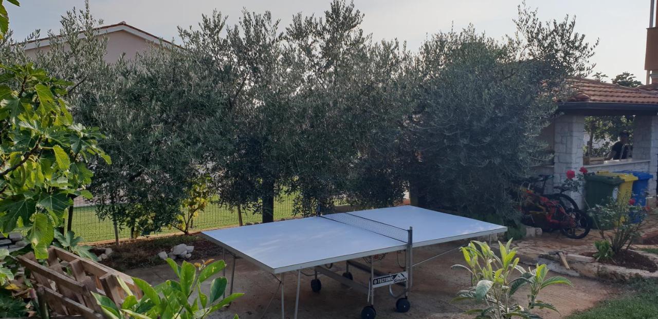 Apartmani Citrus Novigrad Filipac Exterior foto
